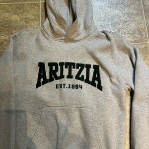 Aritzia Perfect Fit hoodie Heather Grey with green writing